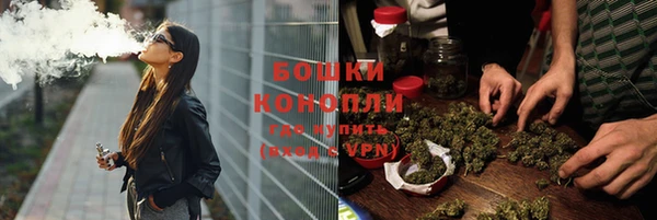 сатива Березники
