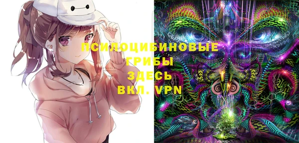 герыч Лагань