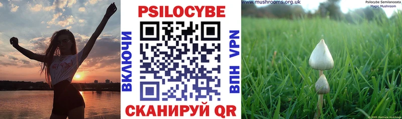 Галлюциногенные грибы Psilocybine cubensis  Нефтекамск 