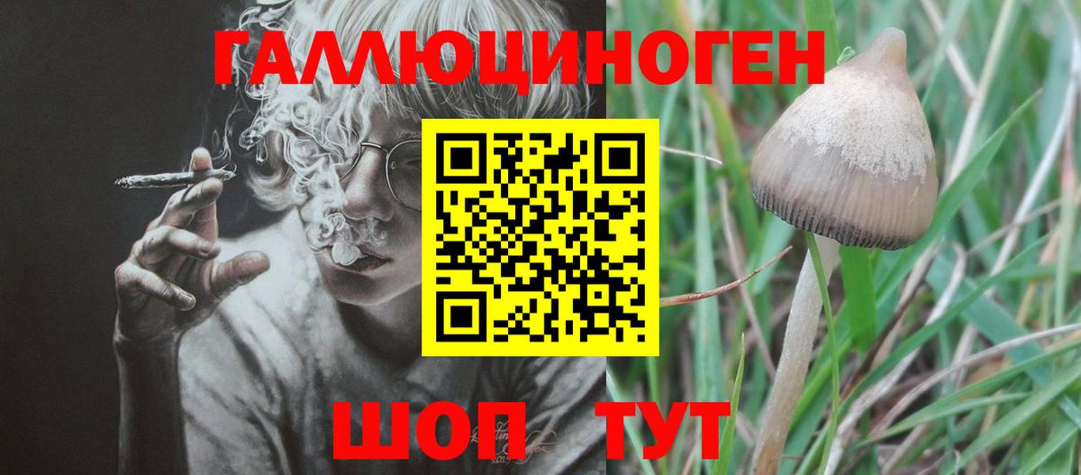 Псилоцибиновые грибы мицелий  Вход с VPN  Нефтекамск 