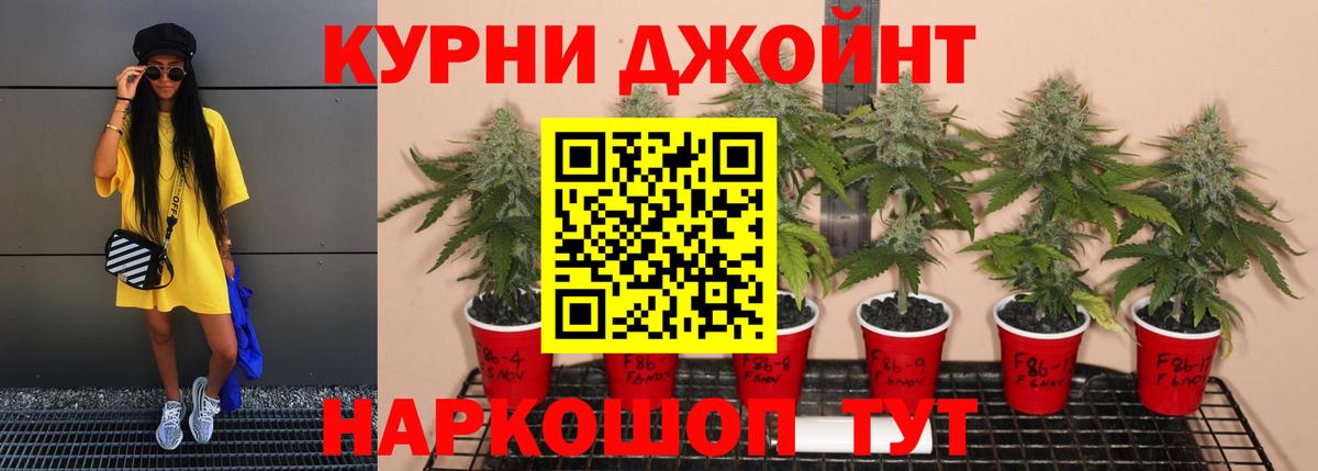 Конопля план  Бошки марихуана марихуана  Каннабис THC 21%  Нефтекамск 